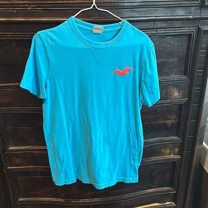 Hollister Blue and Red Short Sleeve Tee